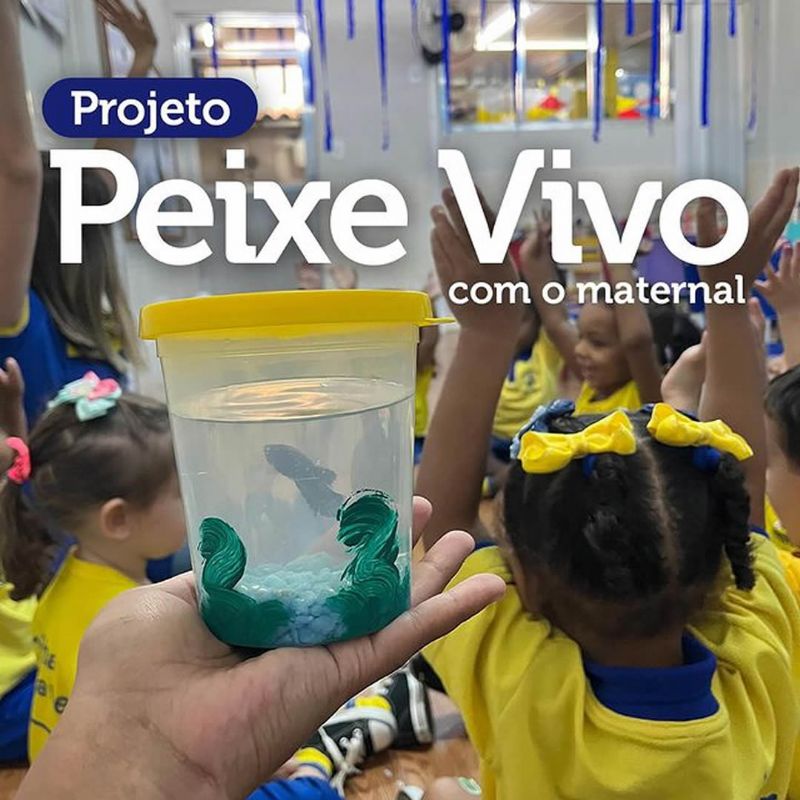 
#ProjetoPeixeVivo #EducaçãoInfantil #RochaXavier